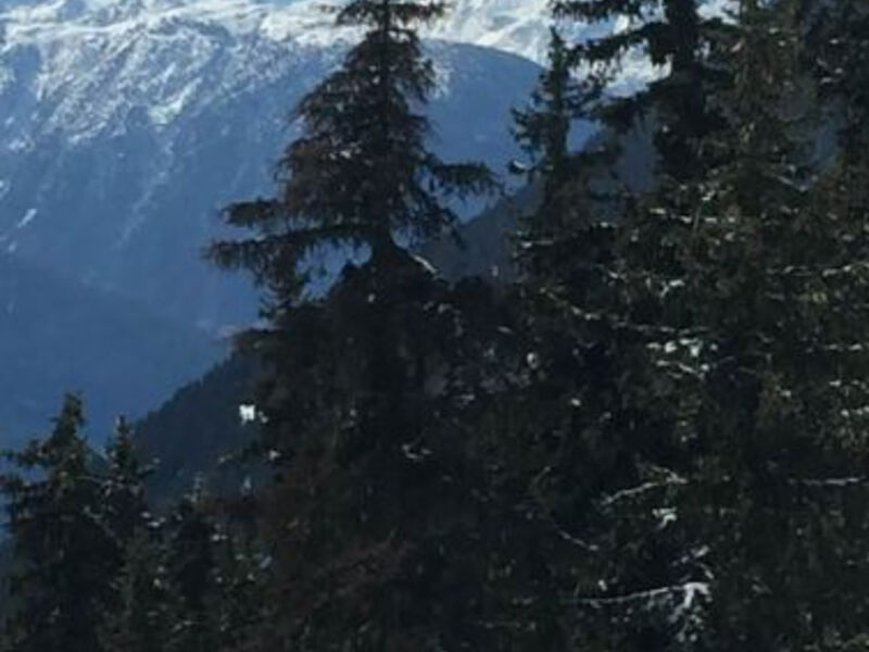 Brunnen 2. Stock Ost