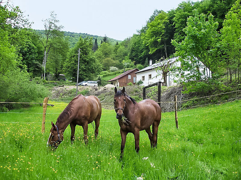 La Bergerie