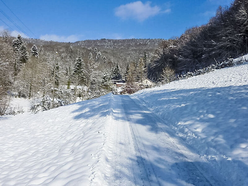 La Bergerie