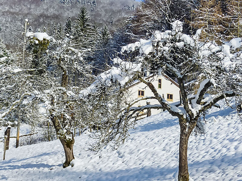 La Bergerie