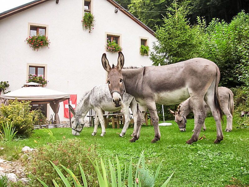 La Bergerie