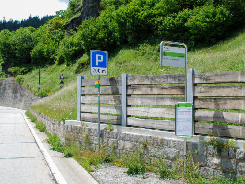 Vista Adula