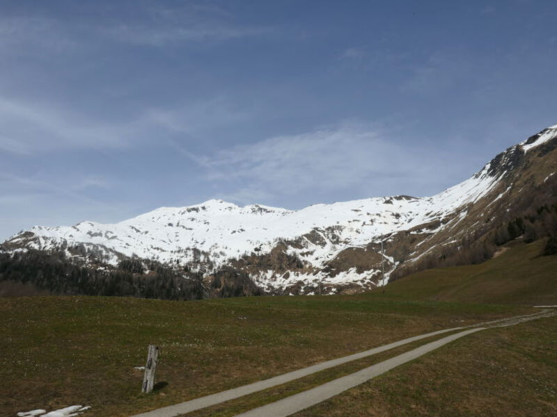 Rustico Orsaira