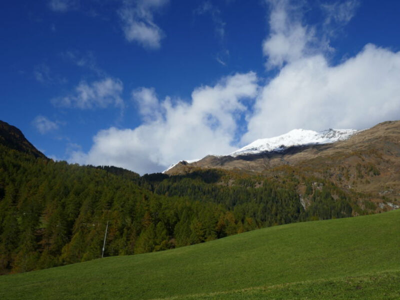 Rustico Orsaira