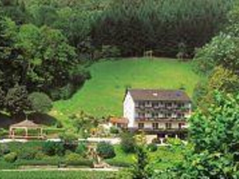 Flair-Hotel Adlerbad