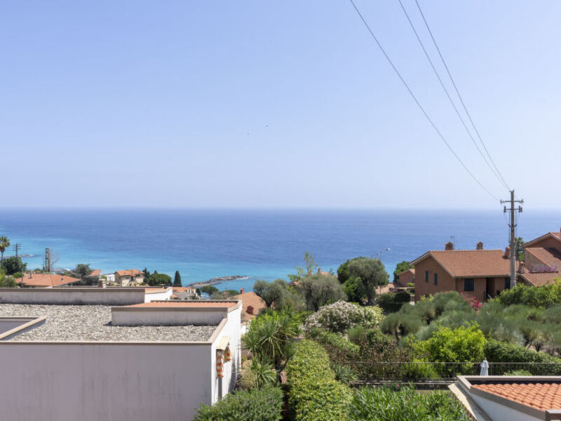 Beautiful View