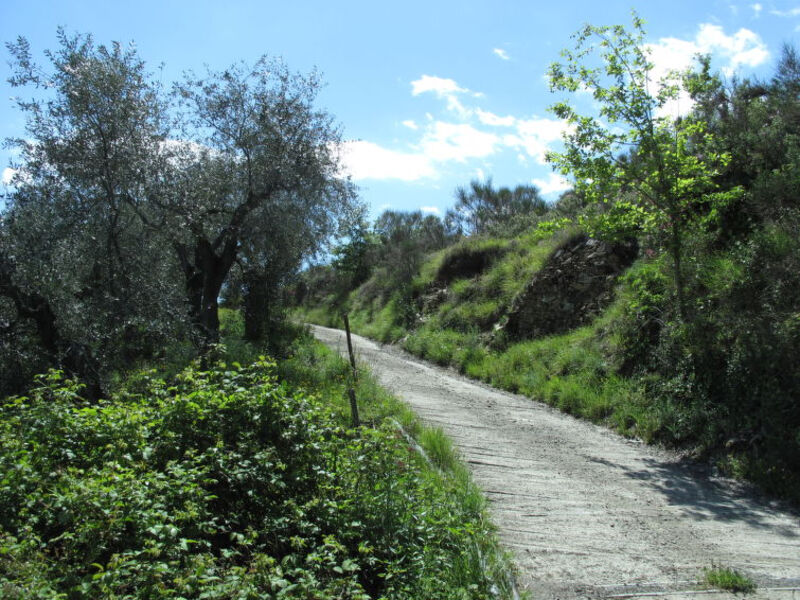 Azzurra