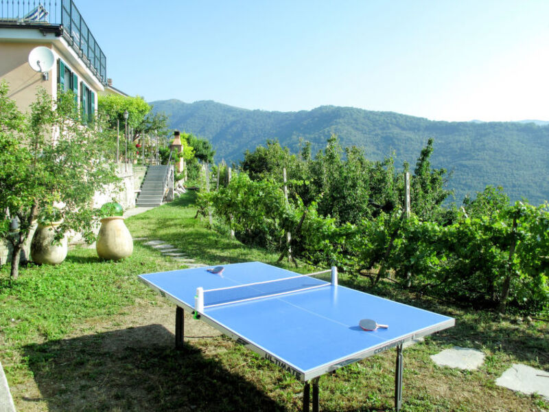 Mimosa - Agriturismo San Giuseppe