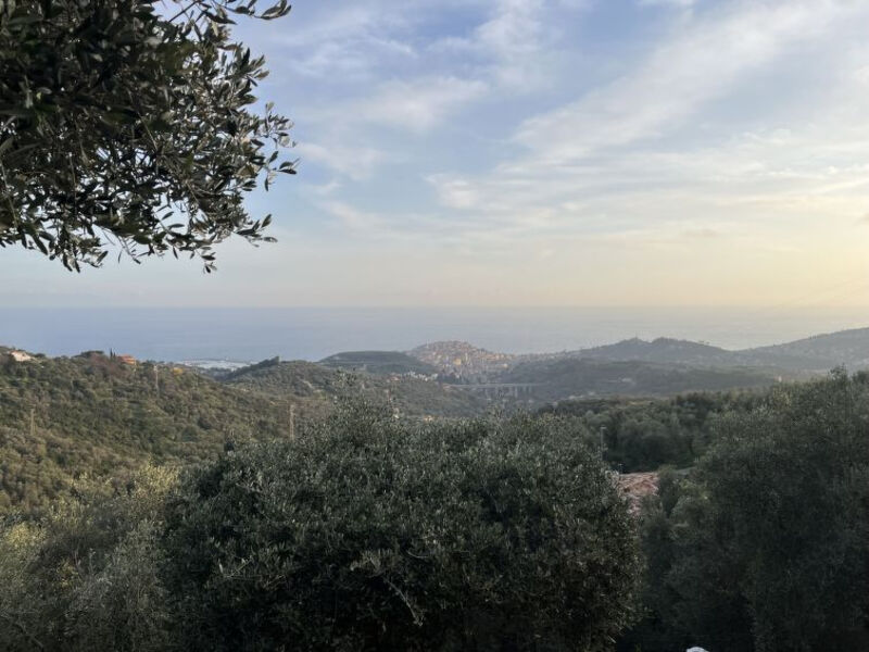 Casa Della Mimosa