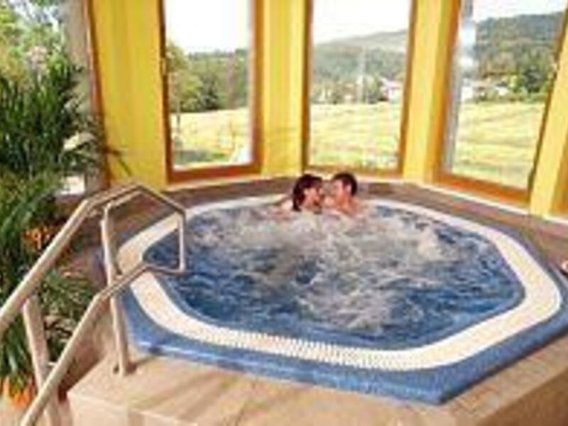 Hotel Paunger