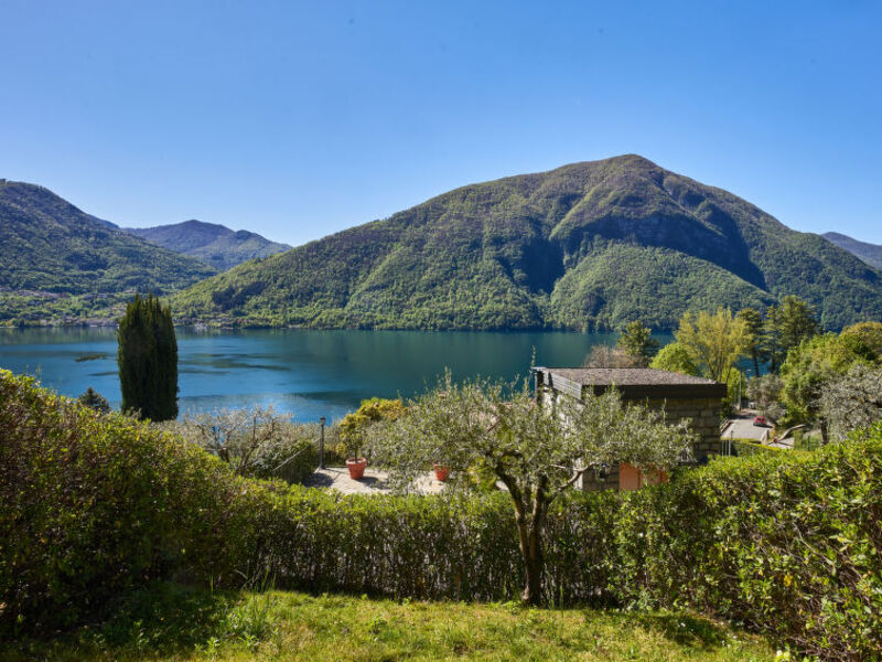 Res. Poggio Degli Ulivi