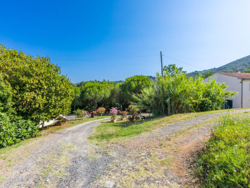 Podere La Madonnina