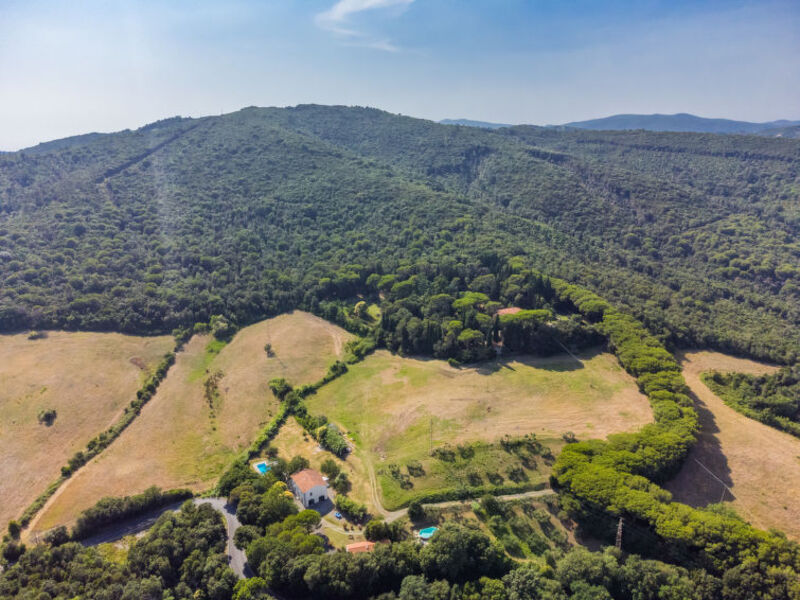 Podere Gli Olivi