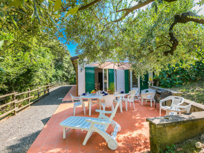 Podere Gli Olivi