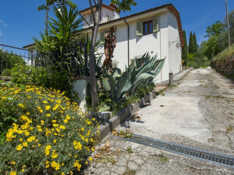 L'Amorosa