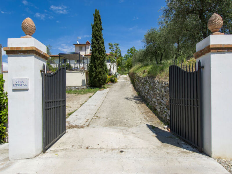 L'Amorosa