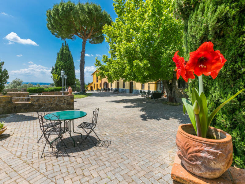 Montereggi