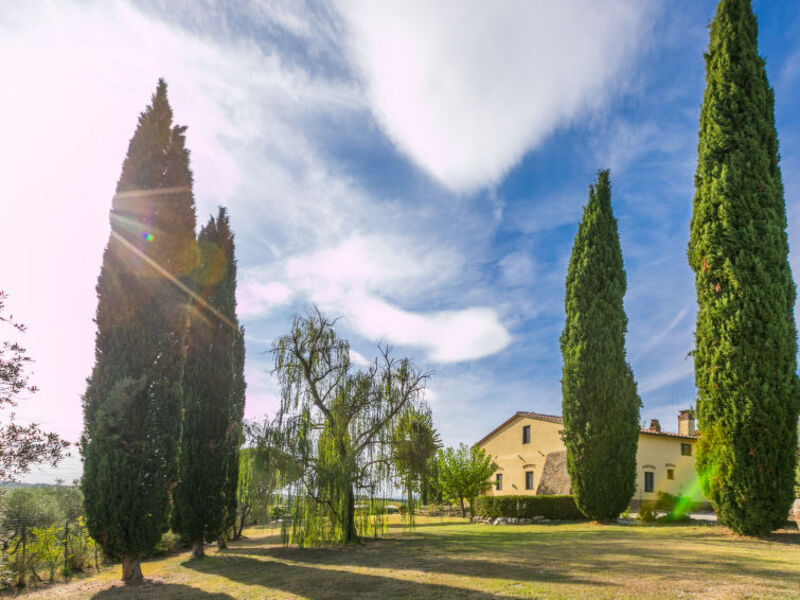 Bellavista