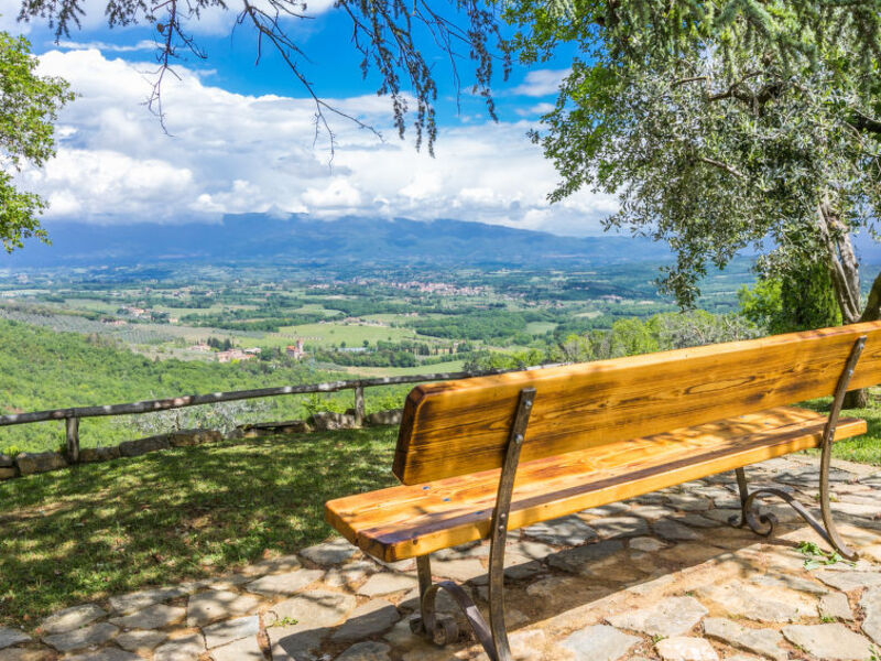 La Casa Di Life