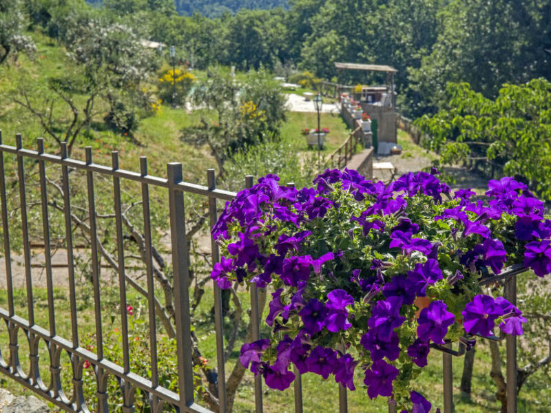 Podere - intero nucleo