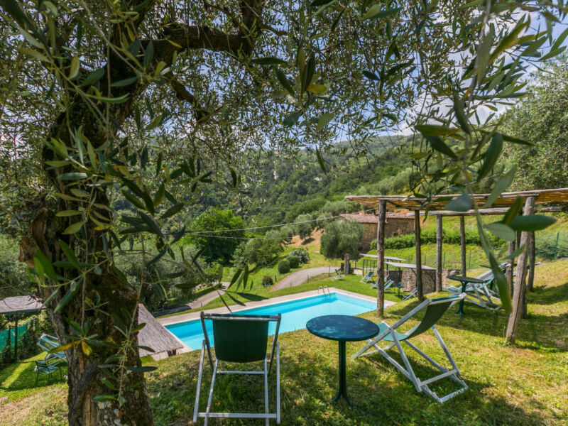 Fattoria Di Pietrabuona