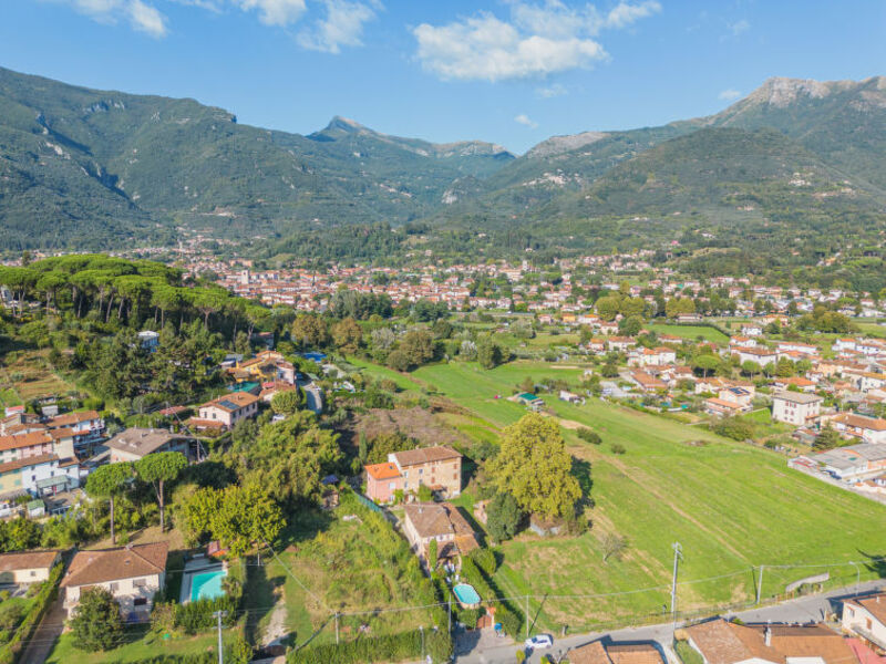 Oleandro