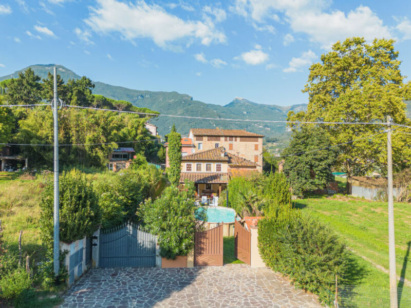 Oleandro