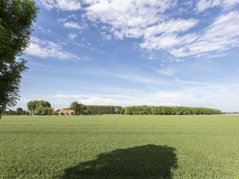 Polderzicht