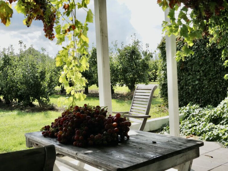 De Orangerie