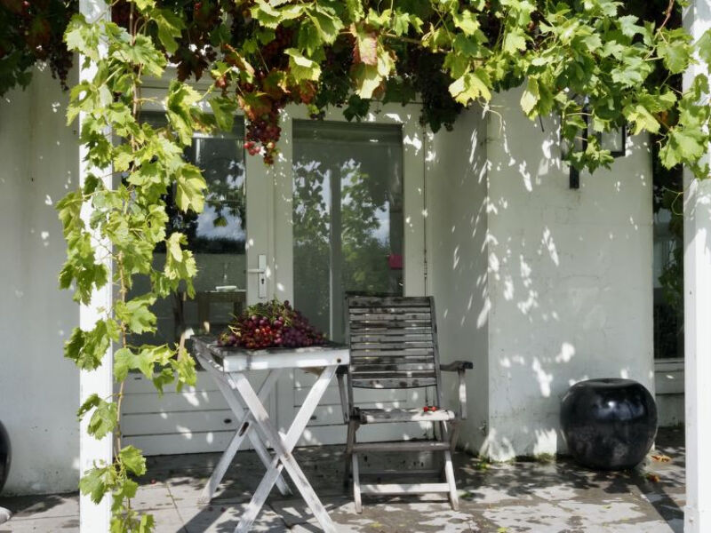 De Orangerie
