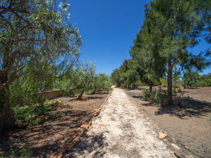Quinta Do Mosaico