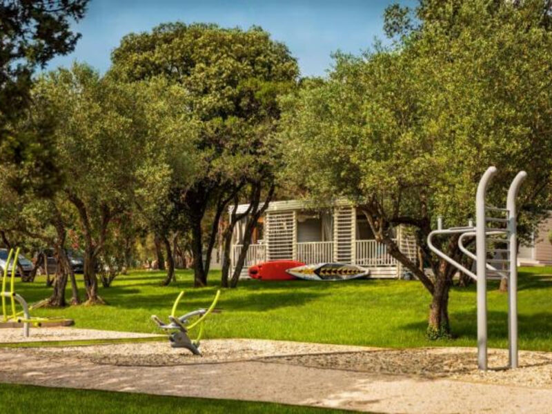 Tur.Komplex Amarin