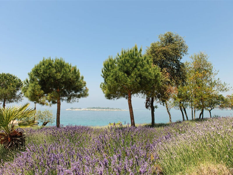 Island Hotel Istra