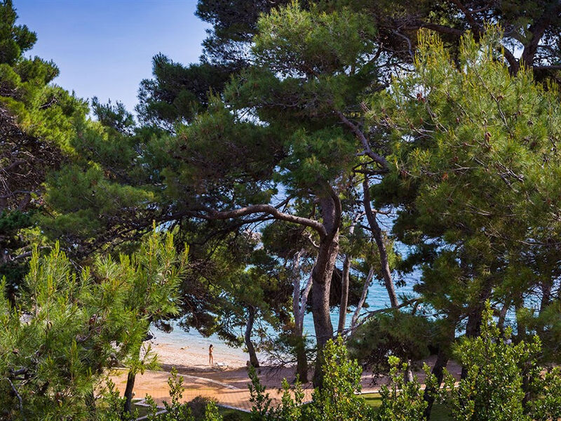 Apartmány Suha Punta