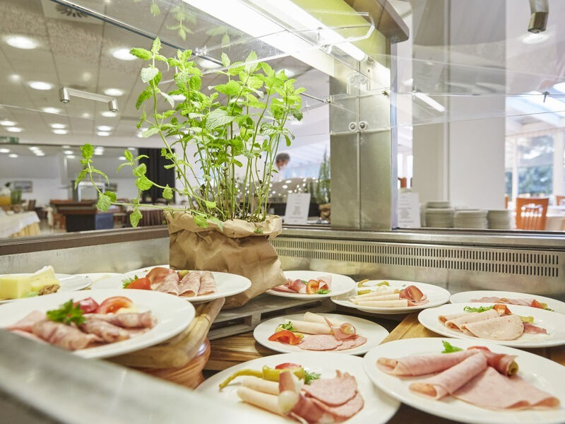 Hotel Thermal Resort Lendava