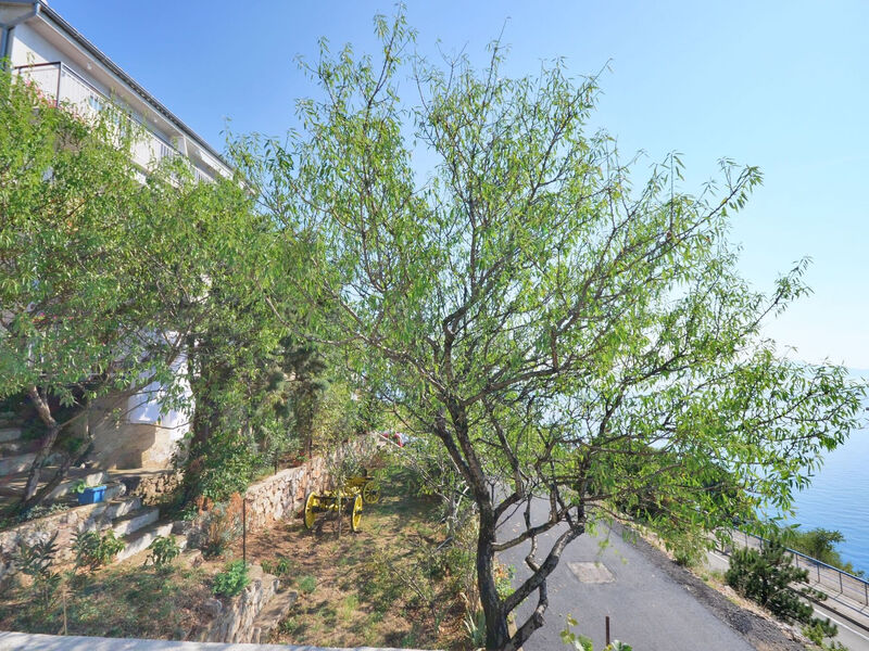 Apartmány 1355-446
