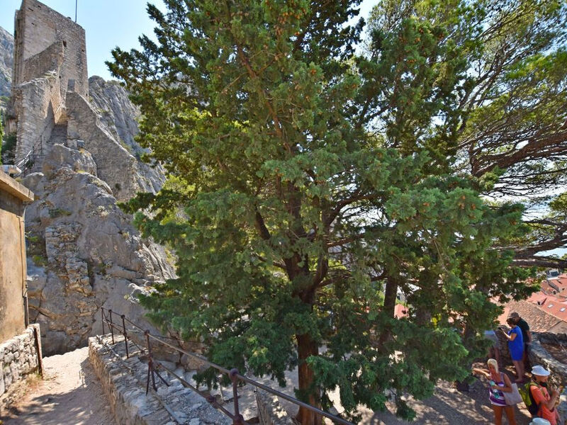 Apartmány 1355-2305