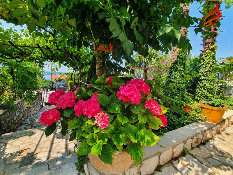 Apartmány 1355-2720