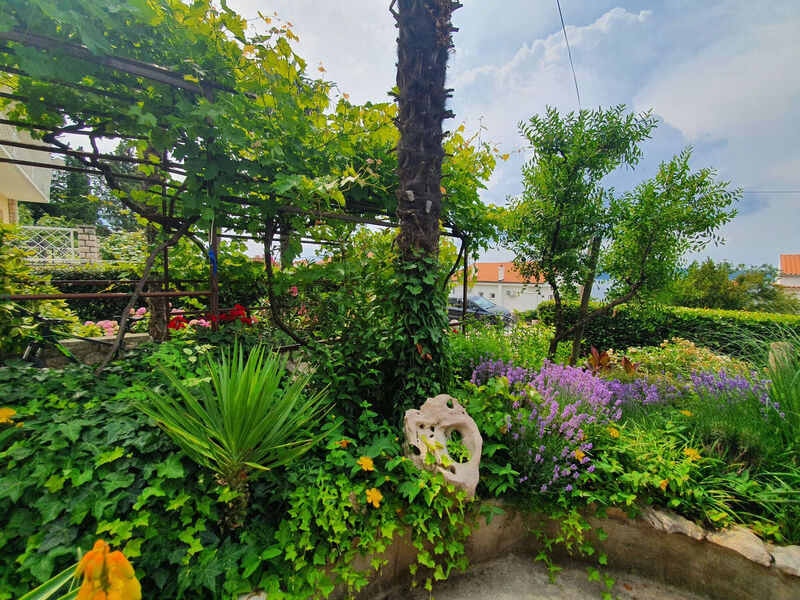 Apartmány 1355-2720