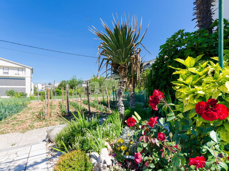 Apartmány 1355-3513