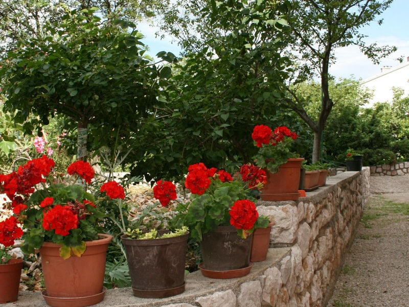Apartmány 3298-1103