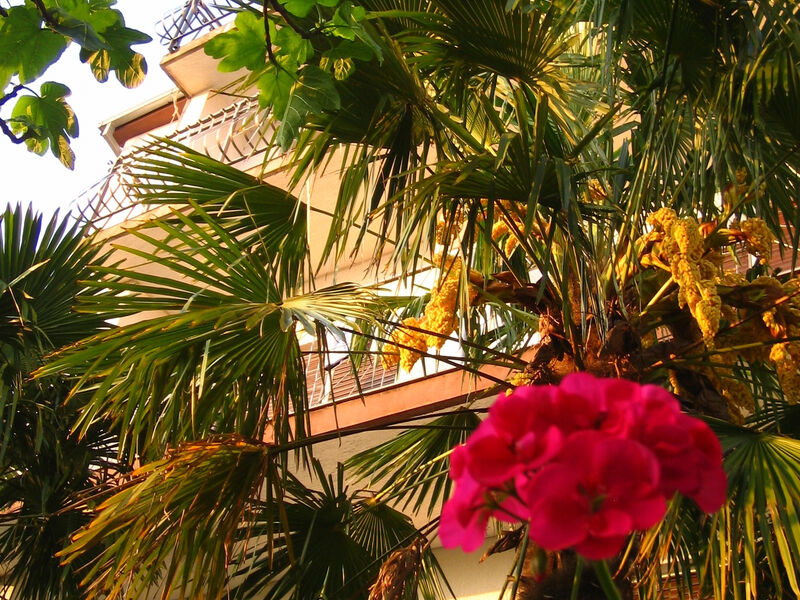 Apartmány 3298-1122
