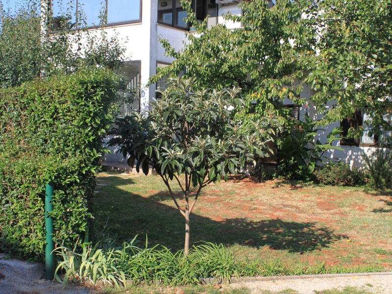 Apartmány 3298-1576