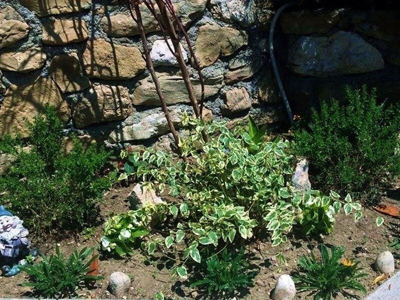 Apartmány 3298-2870