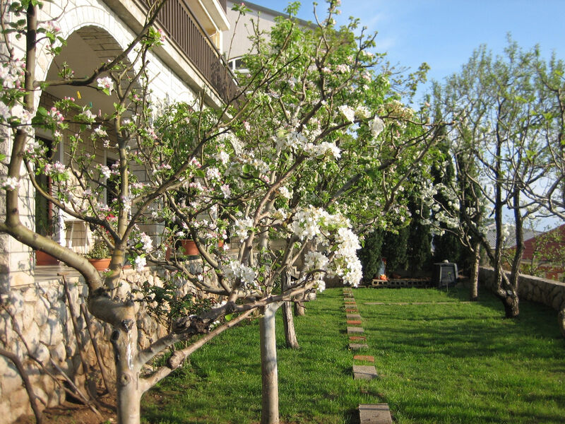 Apartmány 3298-2957