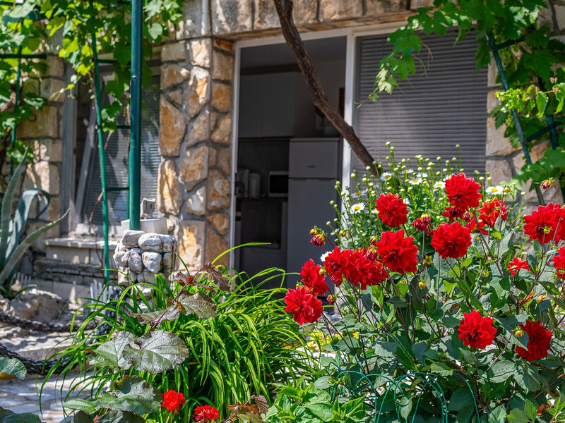 Apartmány 3298-5109