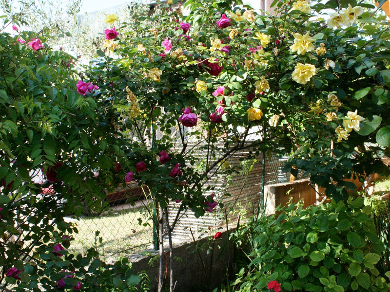 Apartmány 3298-5342