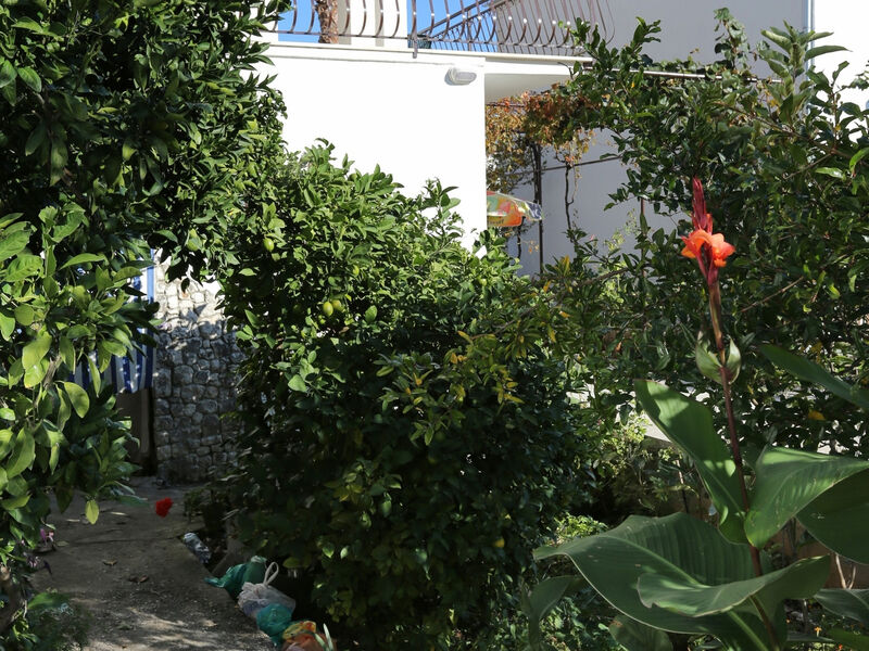 Apartmány 3298-5384