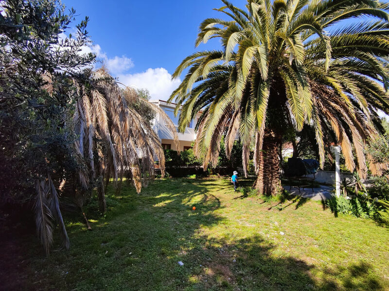 Apartmány Dajana