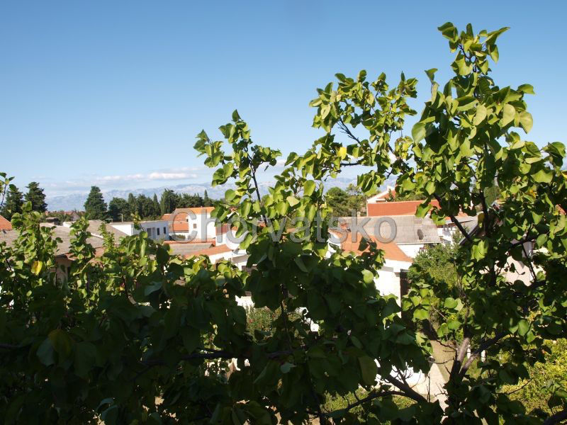 Apartmány Viktorio